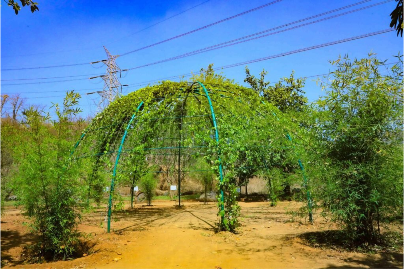 Nakshatra Garden